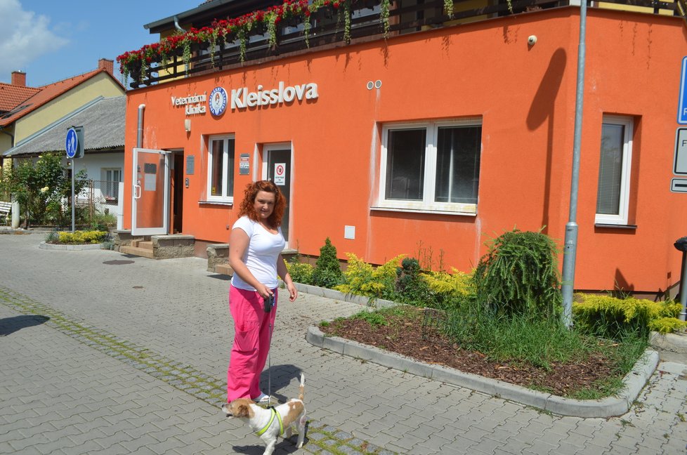 Artuš se teď zotavuje na této plzeňské veterinární klinice