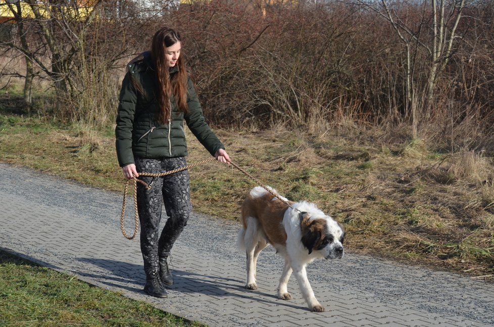 Balů je trochu bojácná, podle dočaskářky Terezy se ale rychle učí a dělá velké pokroky