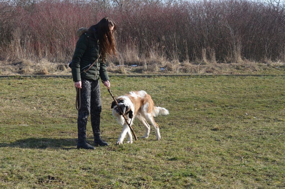 Balů je trochu bojácná, podle dočaskářky Terezy se ale rychle učí a dělá velké pokroky