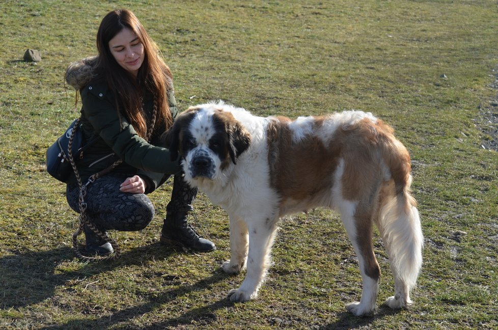 Podle dočaskářky Terezy má Balů milou klidnou povahu