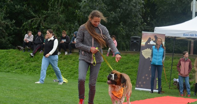 Terezka se v rámci víkendové akce Psí hvězdy prošla i po červeném koberci.