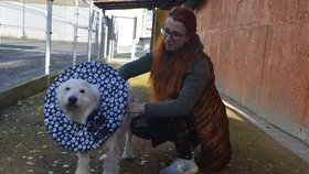 Bůča s provozovatelkou útulku Gabrielou Jägerovou