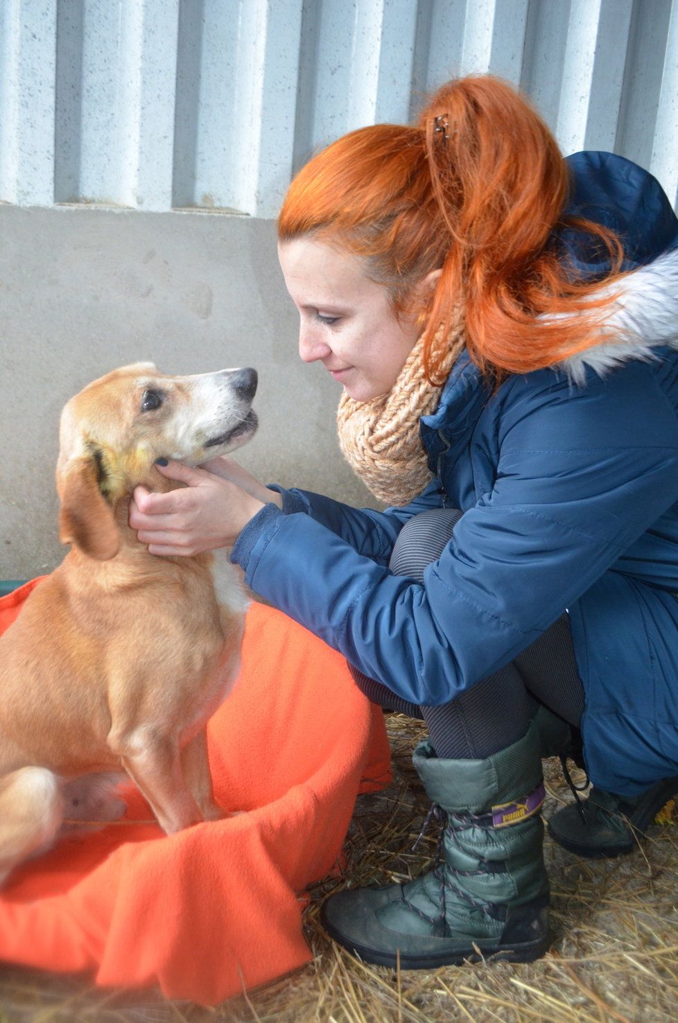 I přesto, čím si Doby doposud prošel, je to milý vděčný pes, který na lidi nezanevřel