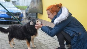 Podle Gabriely Jägerové Filípek nesmutní, naopak, užívá si pozornosti, které se mu v útulku dostává