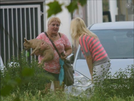 Takto reportérky vyfotily množitelku Faltysovou, když se na benzínové čerpací stanici v Pardubicích pokoušela prodat štěně figurantce Blesk tlapek