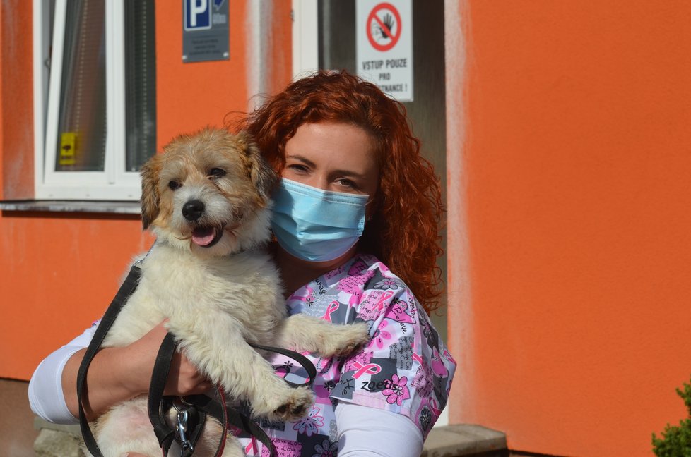 Veterinářka Markéta Tučková má obavy, že bude muset Artuše vrátit původnímu majiteli, který mu způsobil vážná zranění