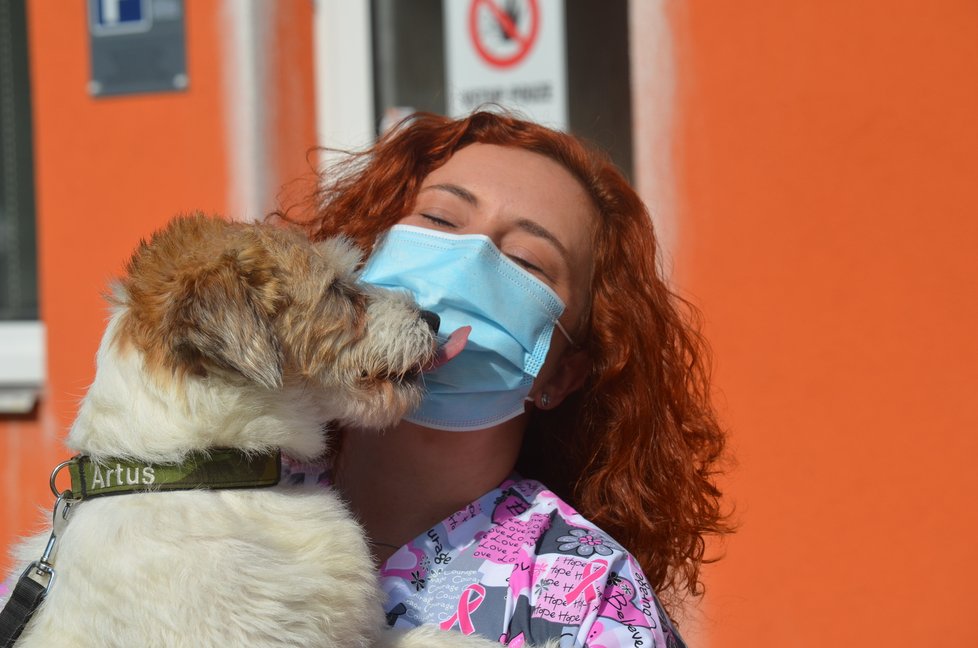 Veterinářka Markéta Tučková má obavy, že bude muset Artuše vrátit původnímu majiteli, který mu způsobil vážná zranění