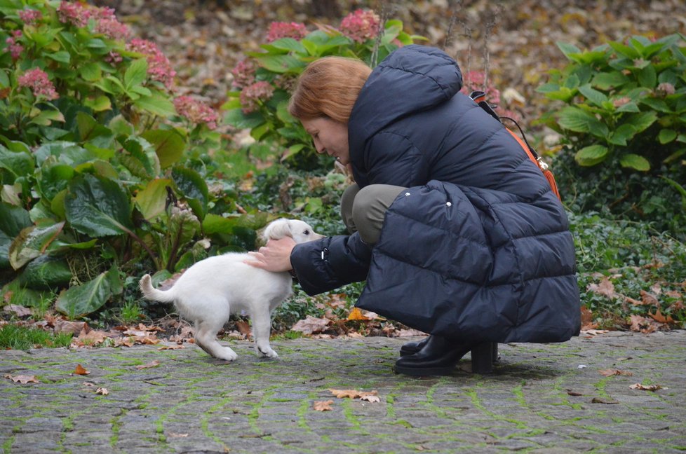 Šárka Kuželová adoptovala fenku od spolku Home4Pets, který část psů z množírny převzal do své péče