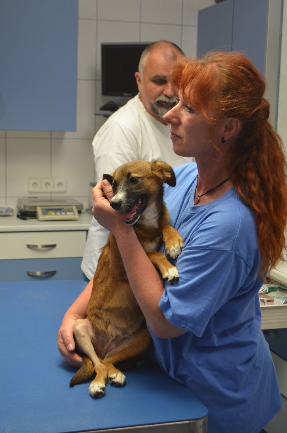 Kety teď dochází na kontroly na kliniku Live k veterináři Jiřímu Vomáčkovi, který ji operoval