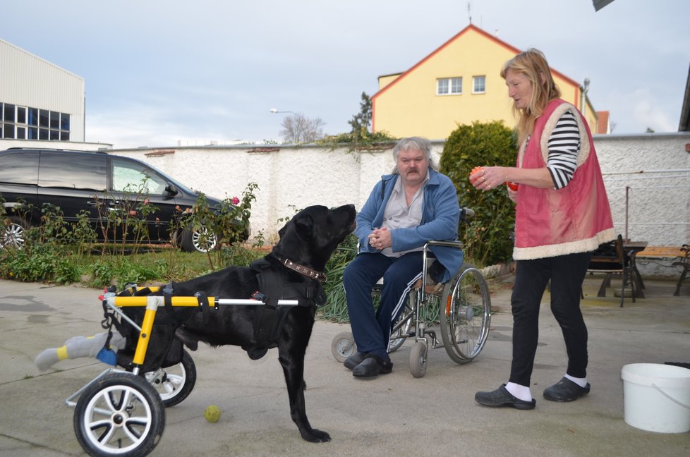 S páníčkem Kim dovádí, jejich handicapy jim v tom nijak nebrání.