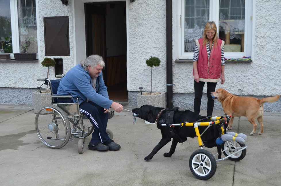 S páníčkem Kim dovádí, jejich handicapy jim v tom nijak nebrání.