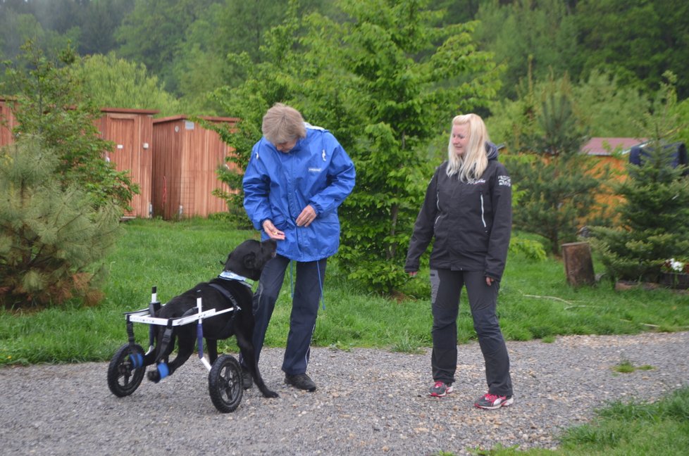 Kim si svůj handicap neuvědomuje.