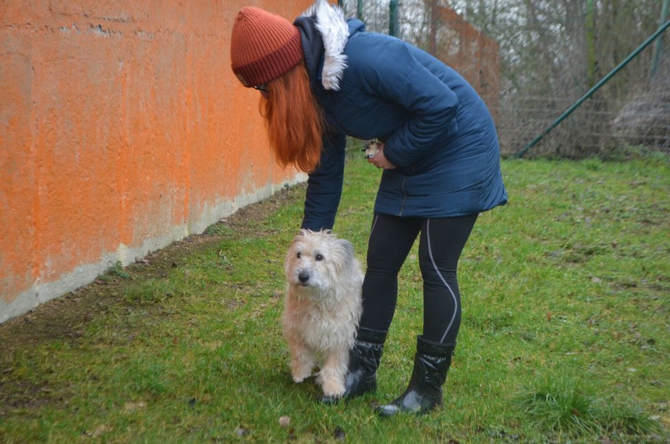 Astička je milá a velmi mazlivá, má se i k provozovatelce útulku Gabriele Jägerové.