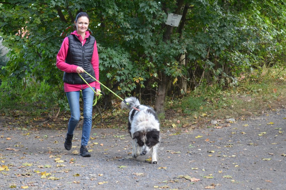 Nexie trvá dlouho, než si zvykne na lidi kolem sebe. Iveta Danišová k ní ale cestu našla