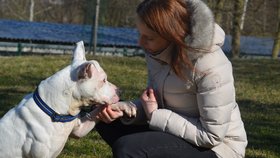 Tereza Krejzová chodí venčit Arona už rok
