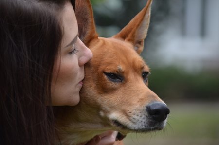 Foxi je krásná kříženka. Pečuje o ni dočaskářka Kateřina Hauptová