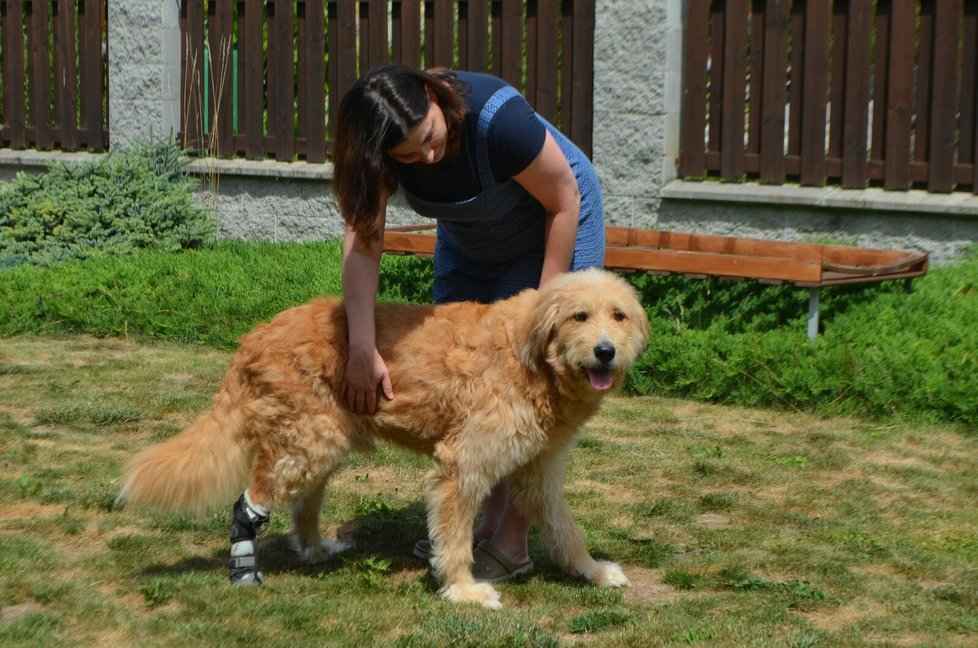 Barnabáš s dočaskářkou Martinou Papouškovou, kterou nade vše miluje