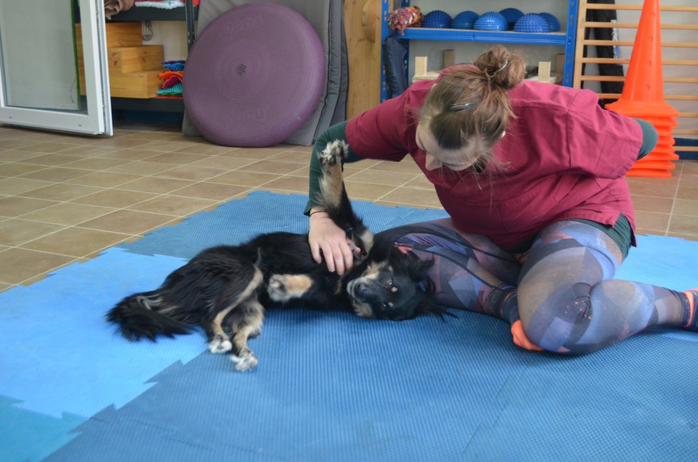 Miška se svou adoptivní paničkou, veterinářkou Dorotou Lippert