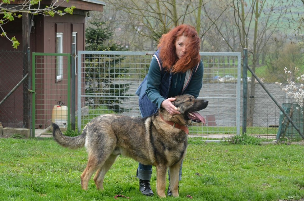 Jana Kymrová věří, že z Bojara bude skvělý parťák, jen se mu musí nový majitel věnovat