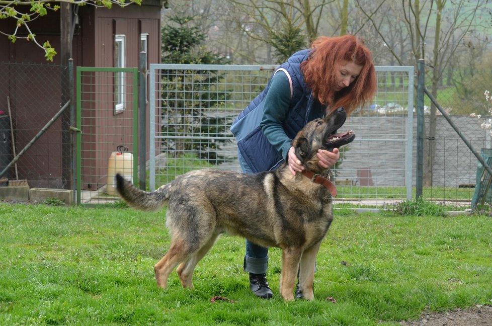 Jana Kymrová věří, že z Bojara bude skvělý parťák, jen se mu musí nový majitel věnovat