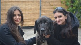 Bella se svými zachránkyněmi Yasminou Jerwanovou a Sárou Oklešťkovou.