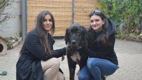 Bella se svými zachránkyněmi Yasminou Jerwanovou a Sárou Oklešťkovou.