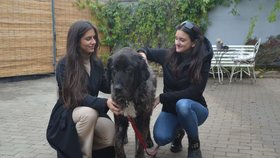 Bella se svými zachránkyněmi Yasminou Jerwanovou a Sárou Oklešťkovou.