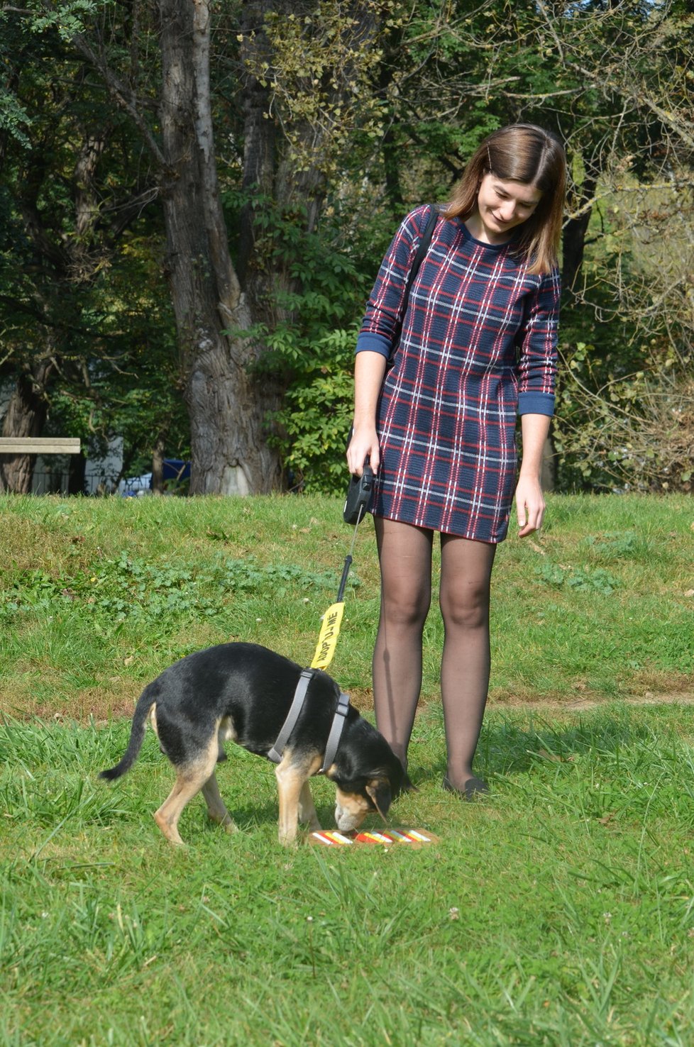 Rexík miluje psí hlavolamy, má jich několik a se všemi si rychle poradí