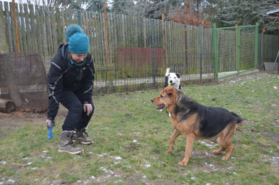 Dora je hravá, ráda aportuje