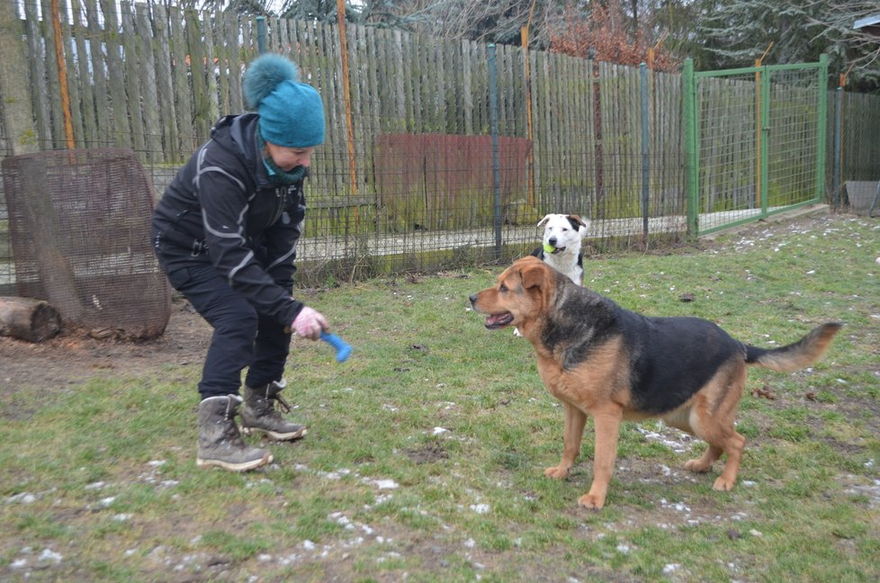 Dora je hravá, ráda aportuje