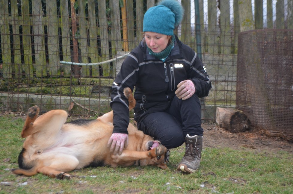 &#34;Dora se ráda mazlí,&#34; ukázala spolumajitelka útulku Jana Kymrová