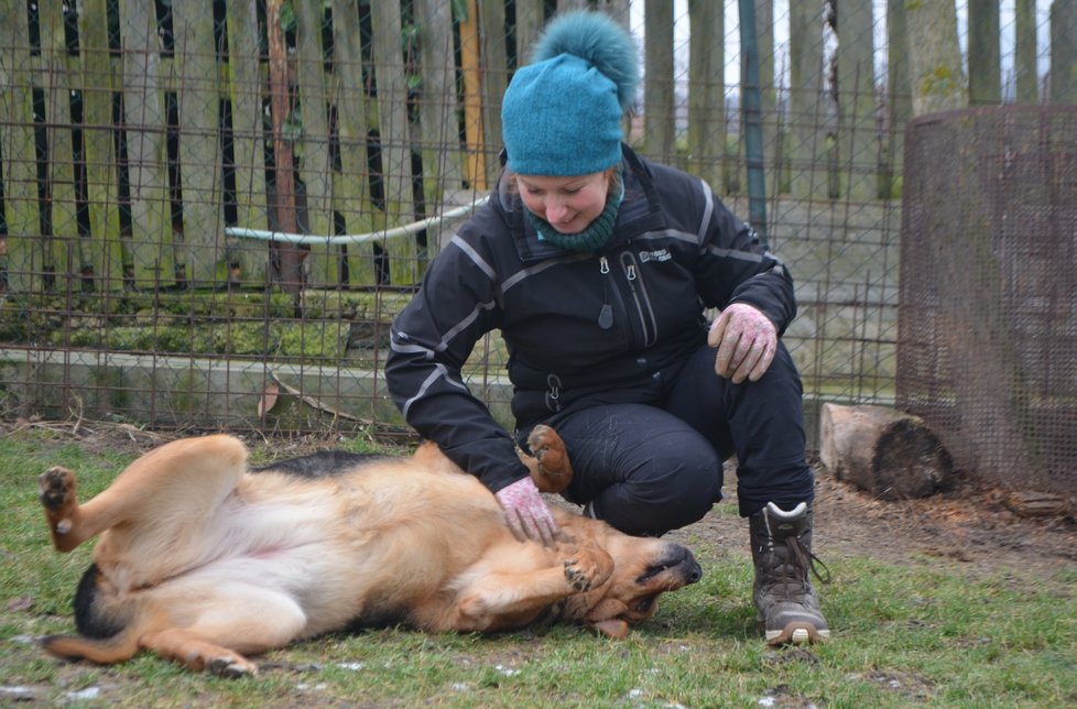 &#34;Dora se ráda mazlí,&#34; ukázala spolumajitelka útulku Jana Kymrová