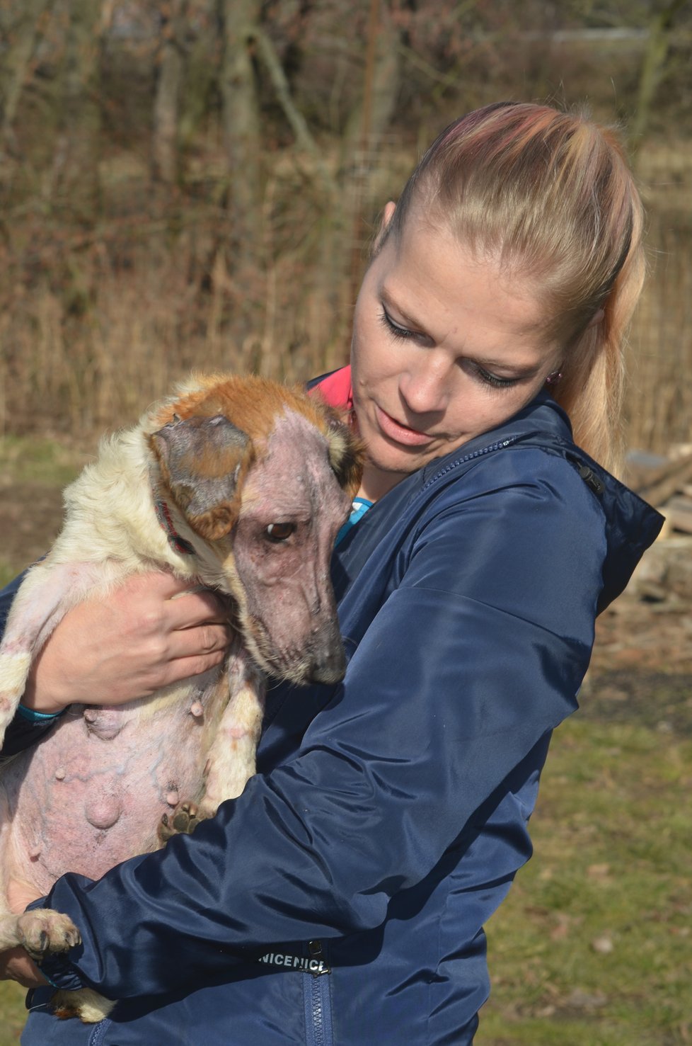 Lola je velký mazel, je vděčná za lásku a pohlazení