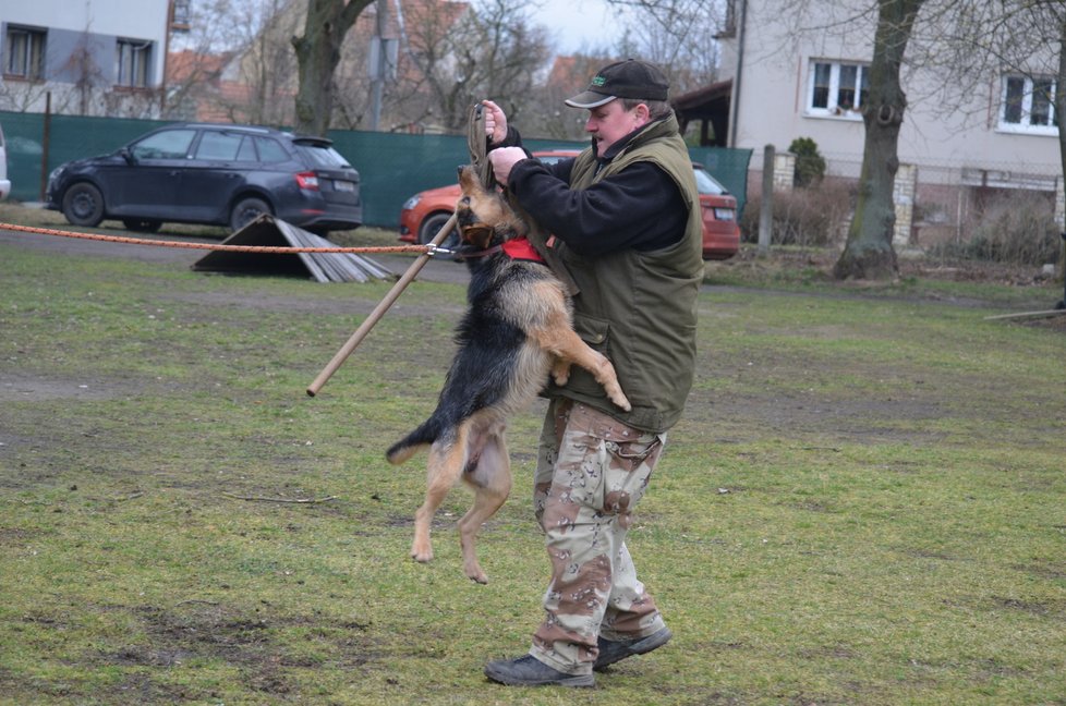 Obrany a kousání s figurantem Maxe baví