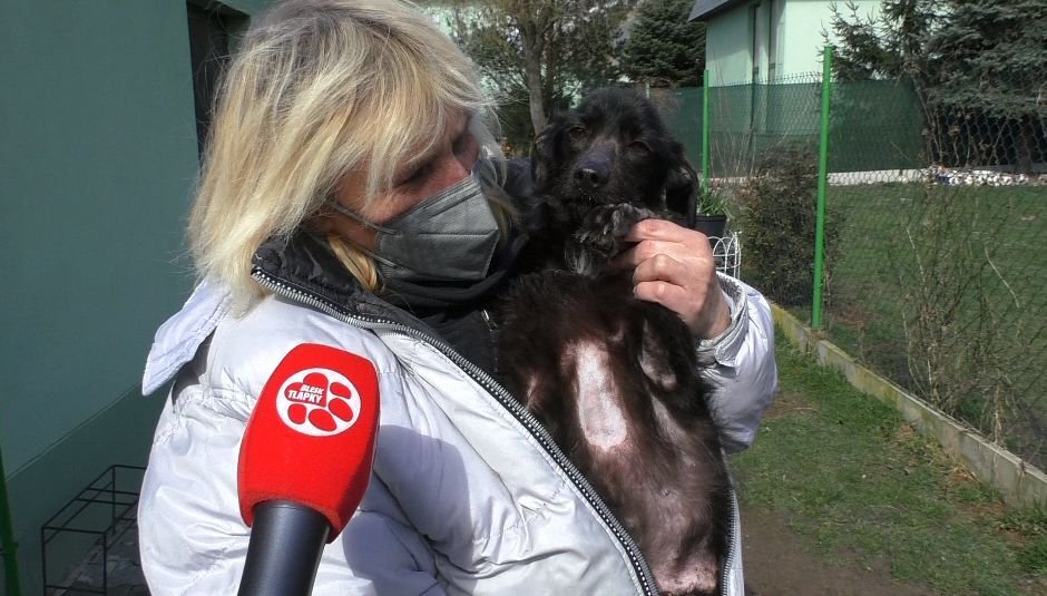 Nelinka s vedoucí klatovského útulku Miloslavou Šeflovou