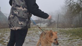 Zástupkyně spolku Bára Hošková by chtěla pro Áďu domov na dožití
