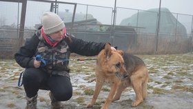 Zástupkyně spolku Bára Hošková by chtěla pro Áďu domov na dožití
