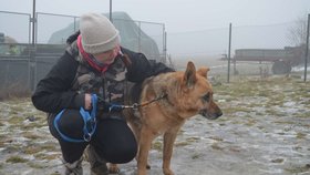 Zástupkyně spolku Bára Hošková by chtěla pro Áďu domov na dožití