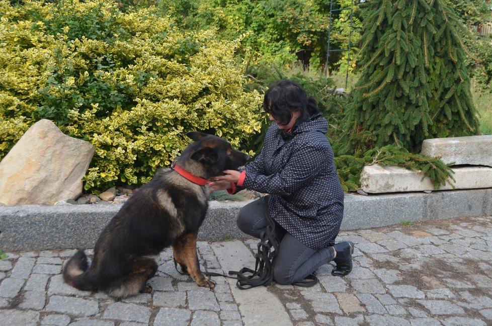 Ares preferuje ženy. Šárka Ondryášová získala jeho důvěru