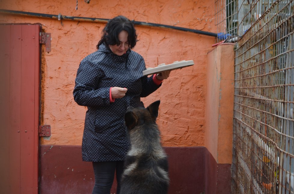 Ares má rád hlavolamy, lehce si s nimi poradí