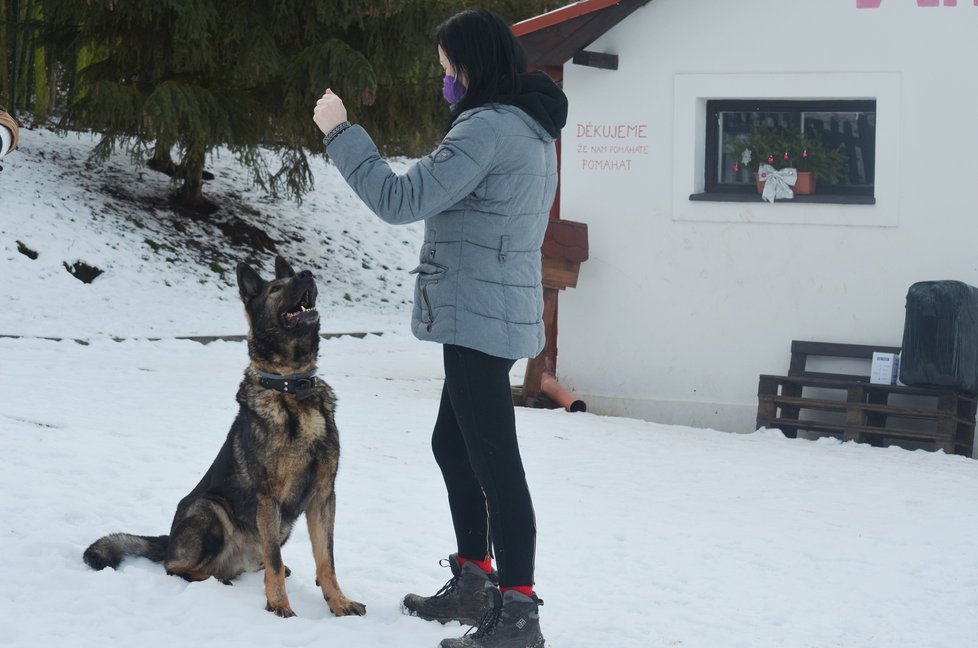 Rony je i poslušný