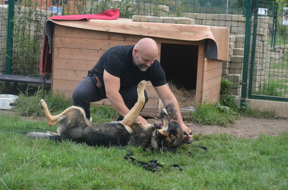 Sára je velmi mazlivá, má ráda společnost lidí, miluje děti