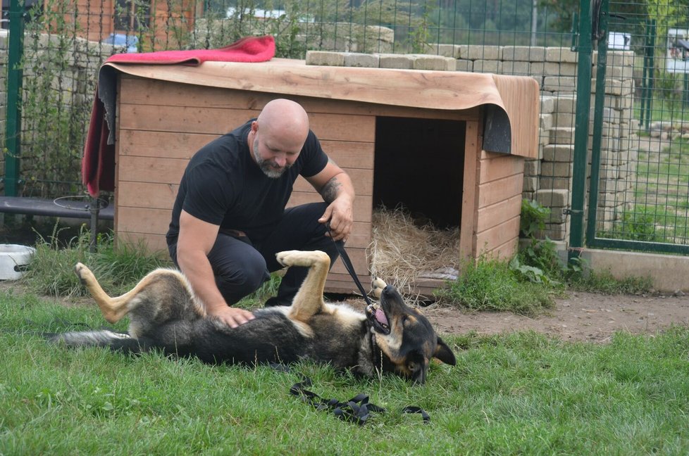 Sára je velmi mazlivá, má ráda společnost lidí, miluje děti