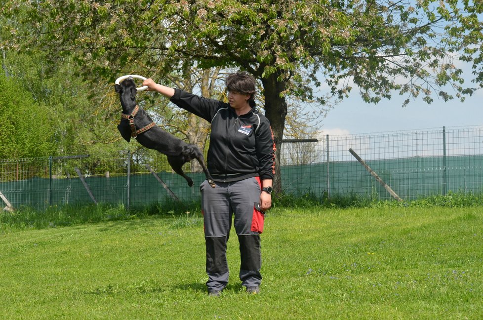 Ejmy potřebuje zaměstnat, jen vycházky a pohyb po zahradě jí nestačí