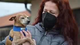Bobík se svou dočasnou opatrovatelkou Bárou Váňovou