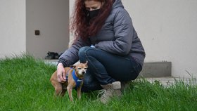 Bobík se svou dočasnou opatrovatelkou Bárou Váňovou