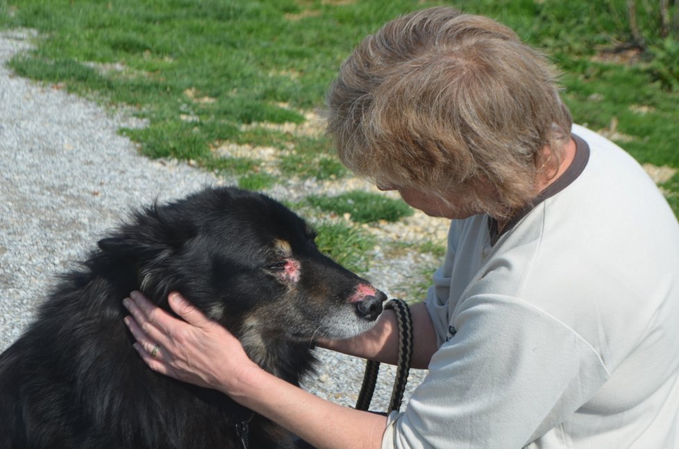 Roky znal jen křik, bití a nadávky. Lásky, které se mu teď dostává od Ivy Volkové, se teď proto nemůže nabažit