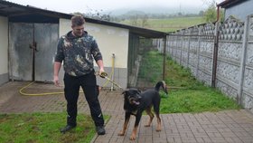 Garp je statný kříženec rotvajlera, potřebuje k sobě člověka, který mu dá výcvik a zvládne ho i fyzicky.