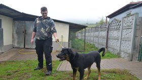 Garp je statný kříženec rotvajlera, potřebuje k sobě člověka, který mu dá výcvik a zvládne ho i fyzicky.