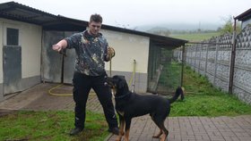 Garp je statný kříženec rotvajlera, potřebuje k sobě člověka, který mu dá výcvik a zvládne ho i fyzicky.